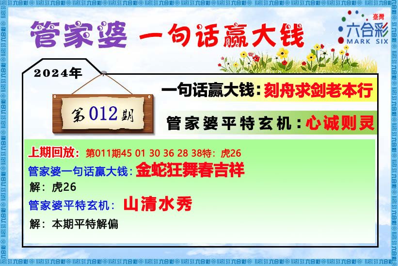 2004管家婆一肖一码澳门码,平衡实施策略_YE版15.154